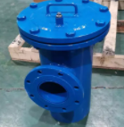 藍(lán)式管道過濾器